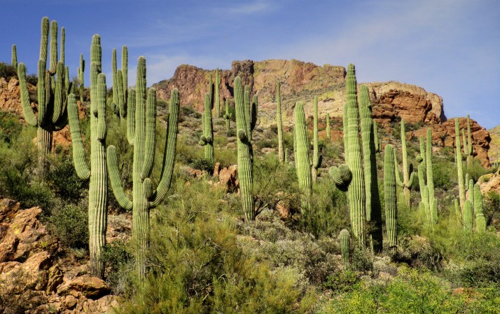 Arizona (1)_tonemapped