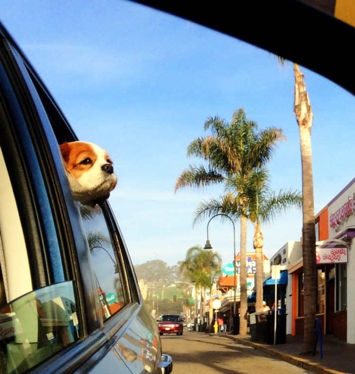 Liz Head outside Car Window Sad_Small tonemapped