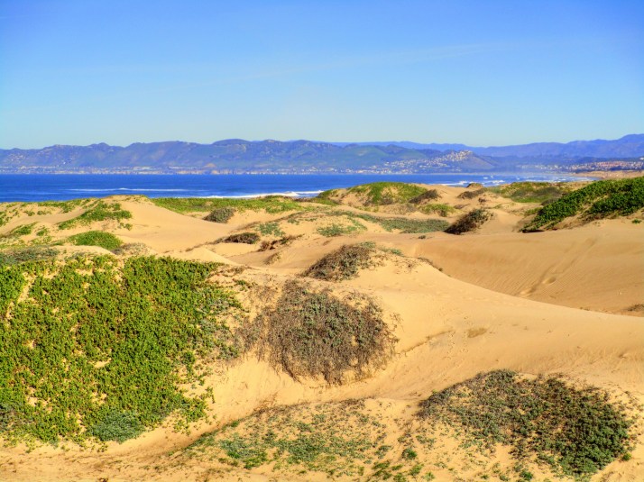 Pismo Dunes 2_tonemapped