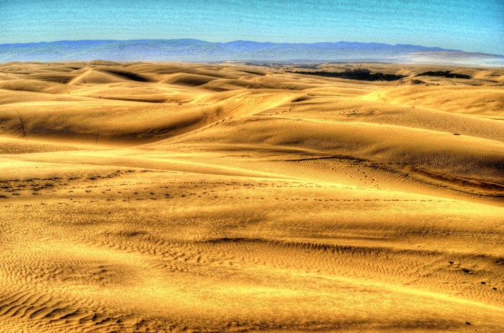 Pismo Dunes 3_Small tonemapped