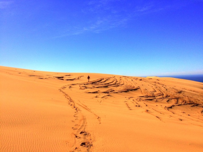 Pismo Dunes Joe Walking_Small tonemapped - Copy.jpg