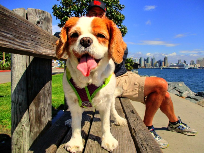 Liz Harness_Small tonemapped