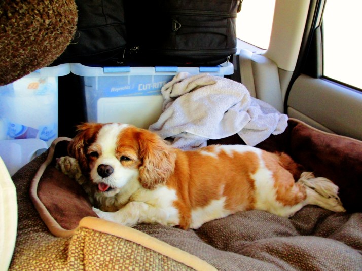 Liz Tired Back of Car_Small tonemapped