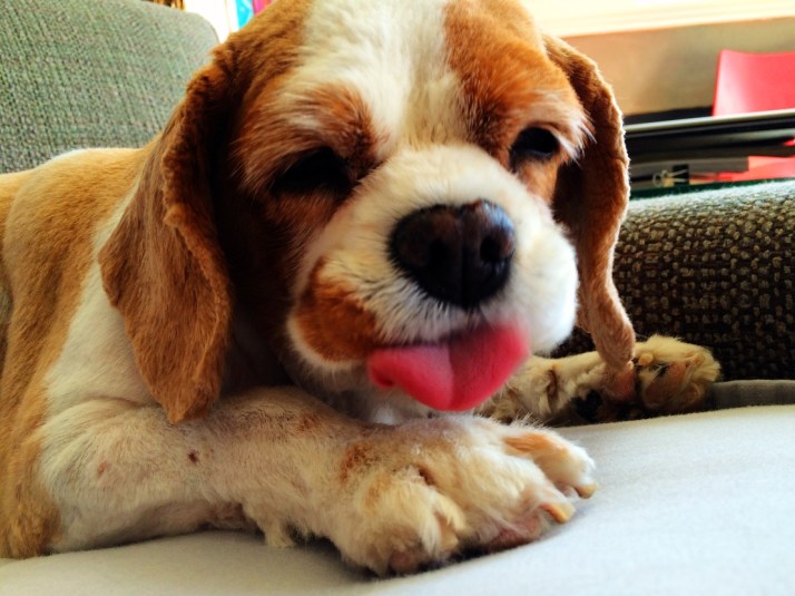 Liz tongue sticking out_Small tonemapped