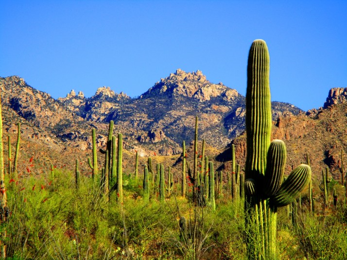 Catalina Mountains_Small tonemapped