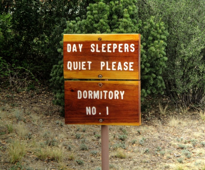 Day Sleepers Sign_Small tonemapped