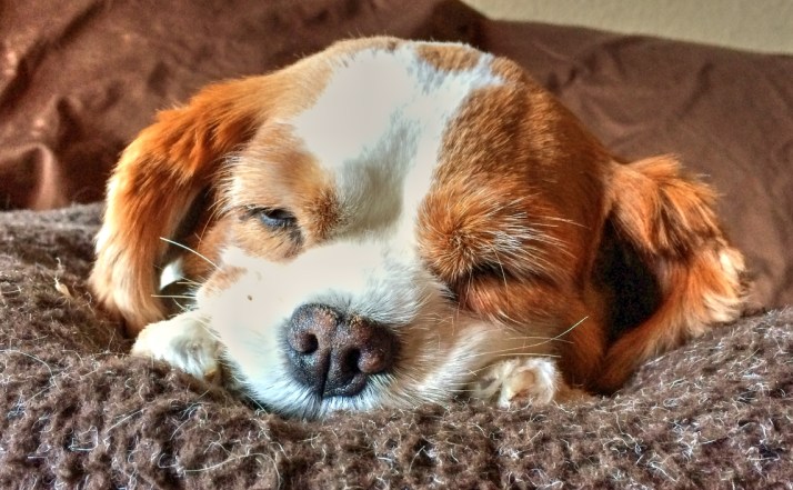 Liz Sleeping_Small tonemapped