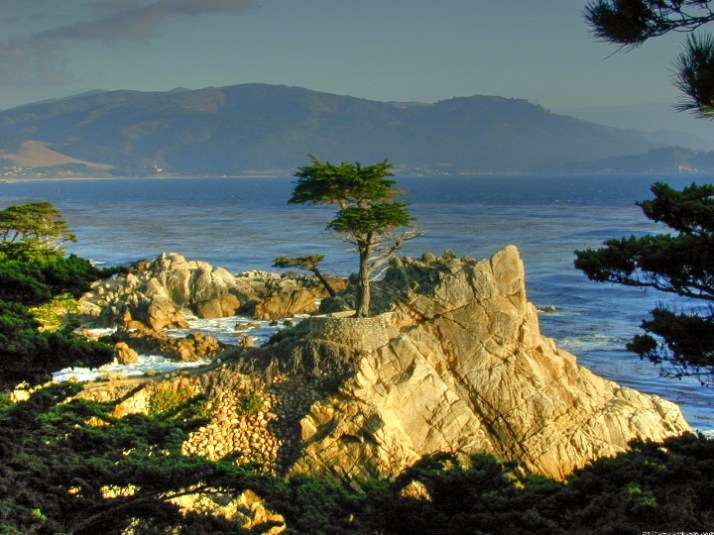 Kingofwallpapersdotcom Small_tonemapped