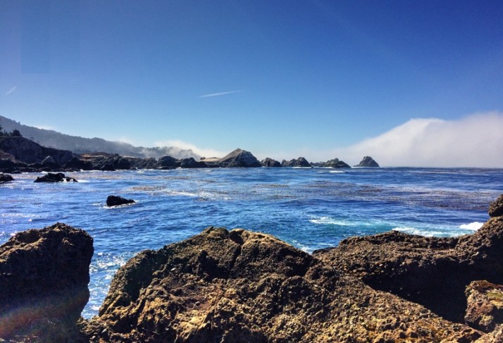 point-lobos-2-small