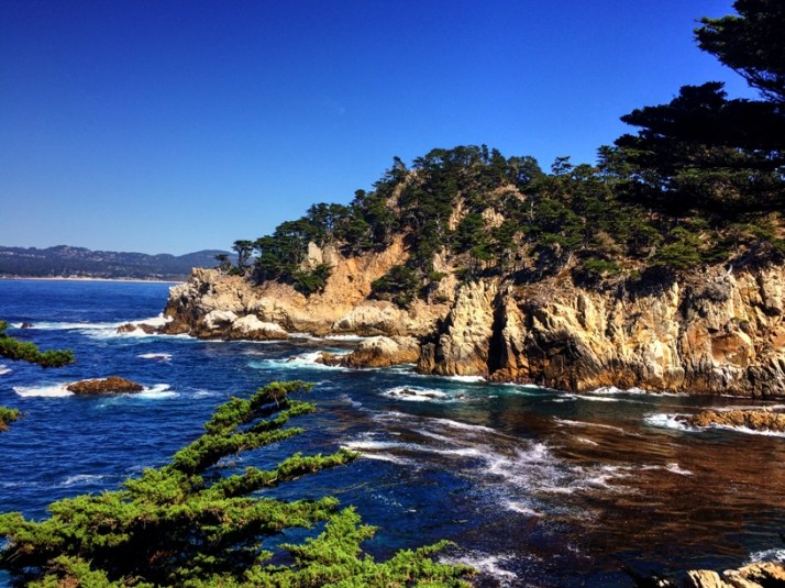 point-lobos-small