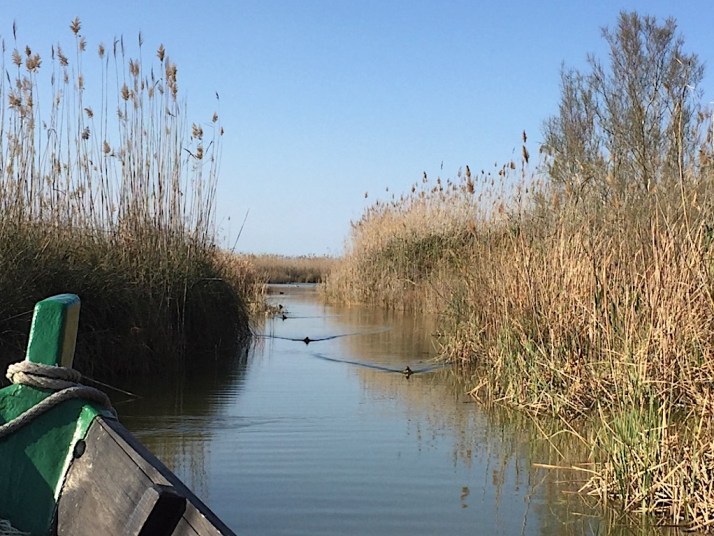 Albufera Boat in canal