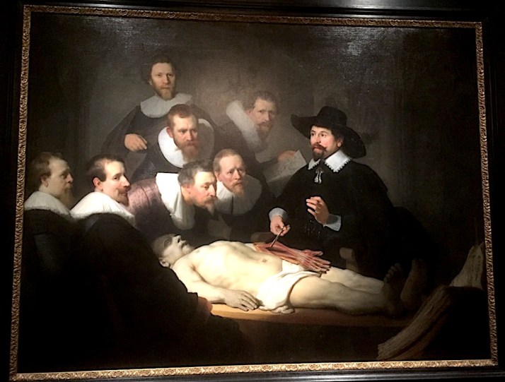 Rembrandt Anatomy