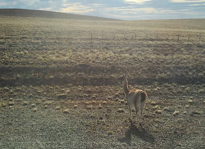 Processed with VSCO with av4 preset